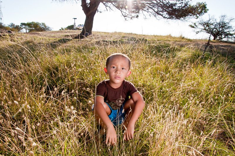 Boy sitting in a field