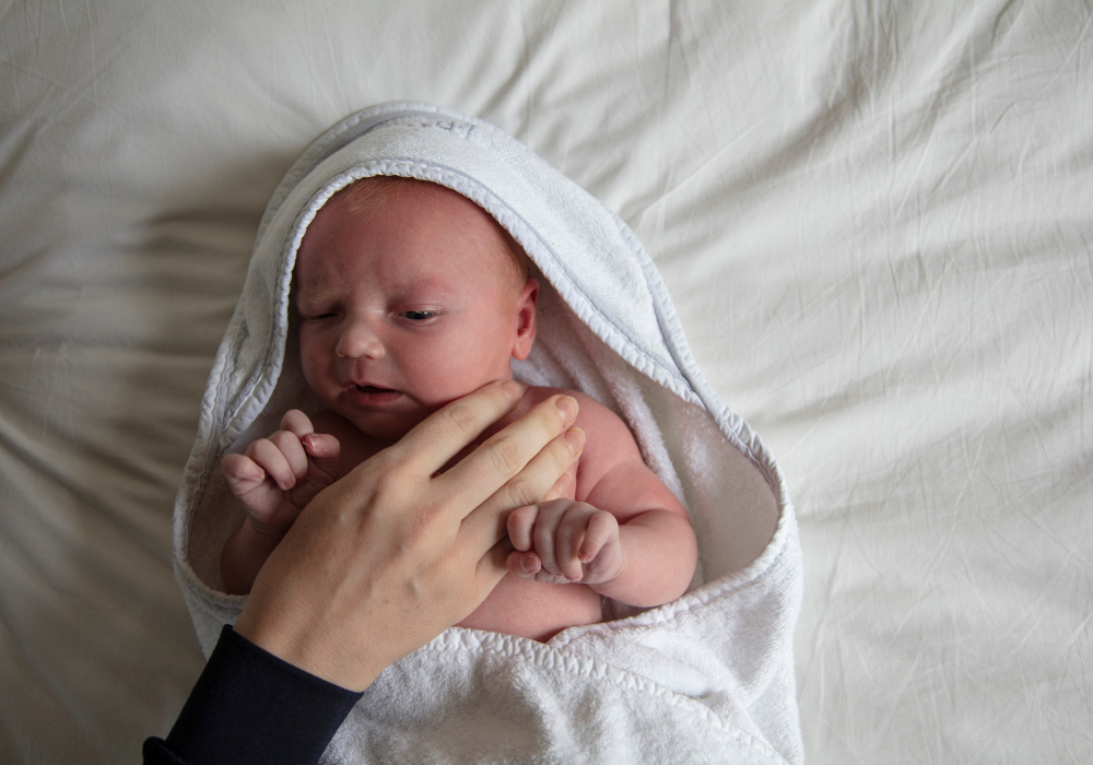 Wrapped up for a nap