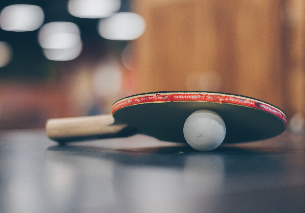 Ping pong paddle