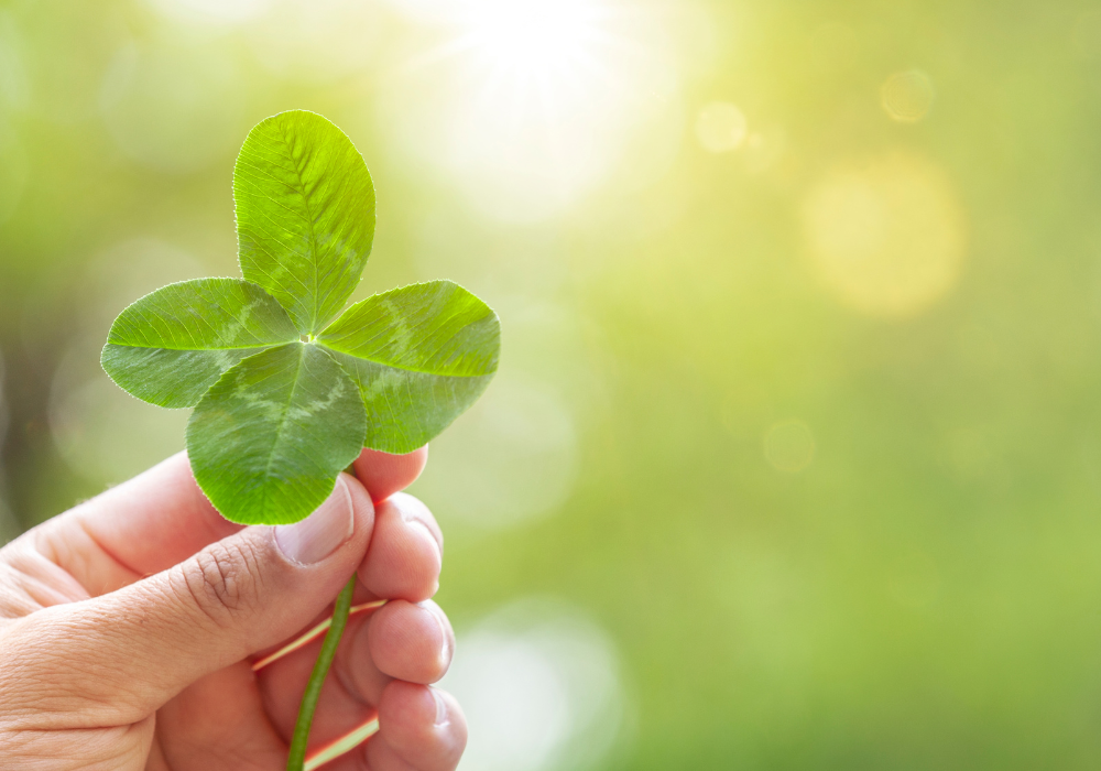 Four-leaf clover
