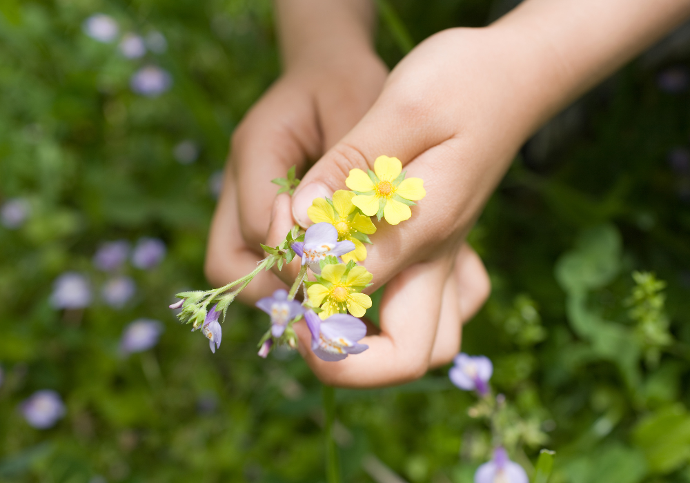 Picking flowers in the garden