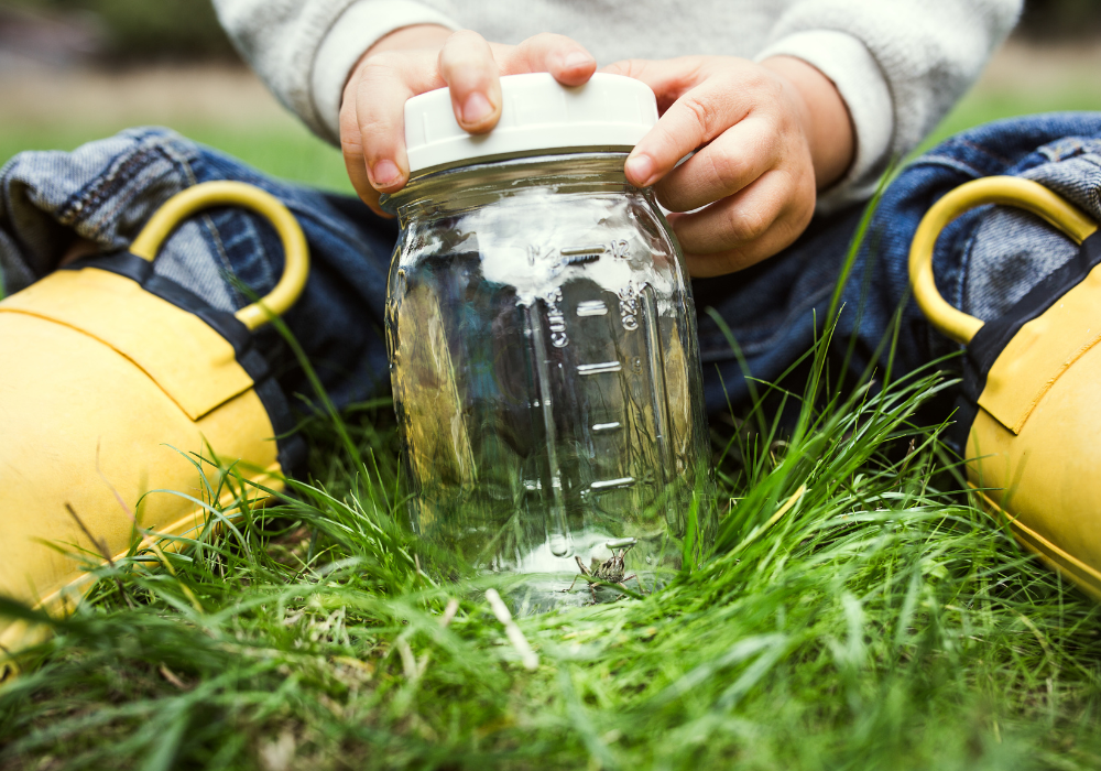 Trapping insects with a jar