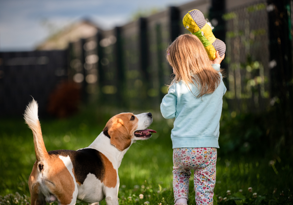 Little girl playing in the yard with the dog